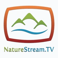 NatureStream.TV Ambient Nature