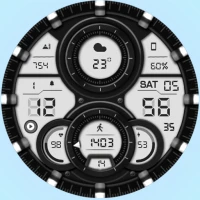 WFP 303 Hybrid watch face