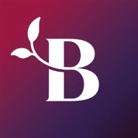 Bloom Stories: Spicy Audio